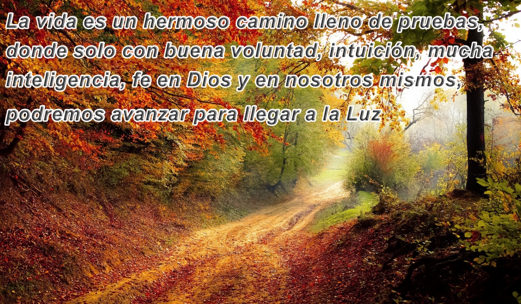 Universo Opi, El Camino foto Pixabay